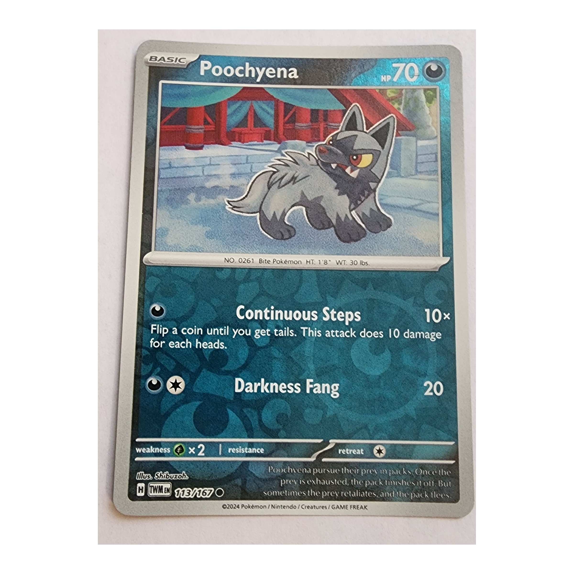 Poochyena Common SV06: Twilight Masquerade 113/167 NM Reverse Holo