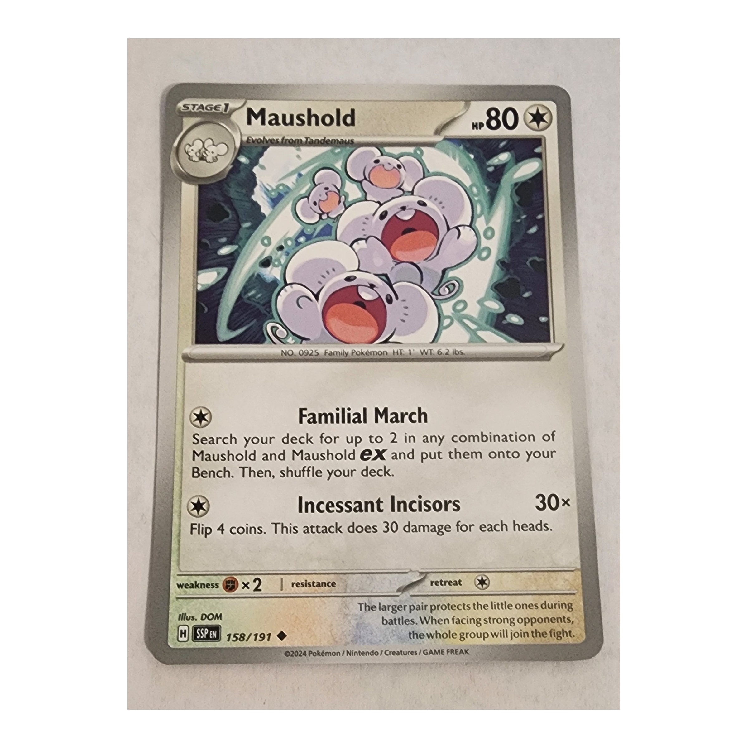 Maushold Uncommon SV08: Surging Sparks 158/191 NM