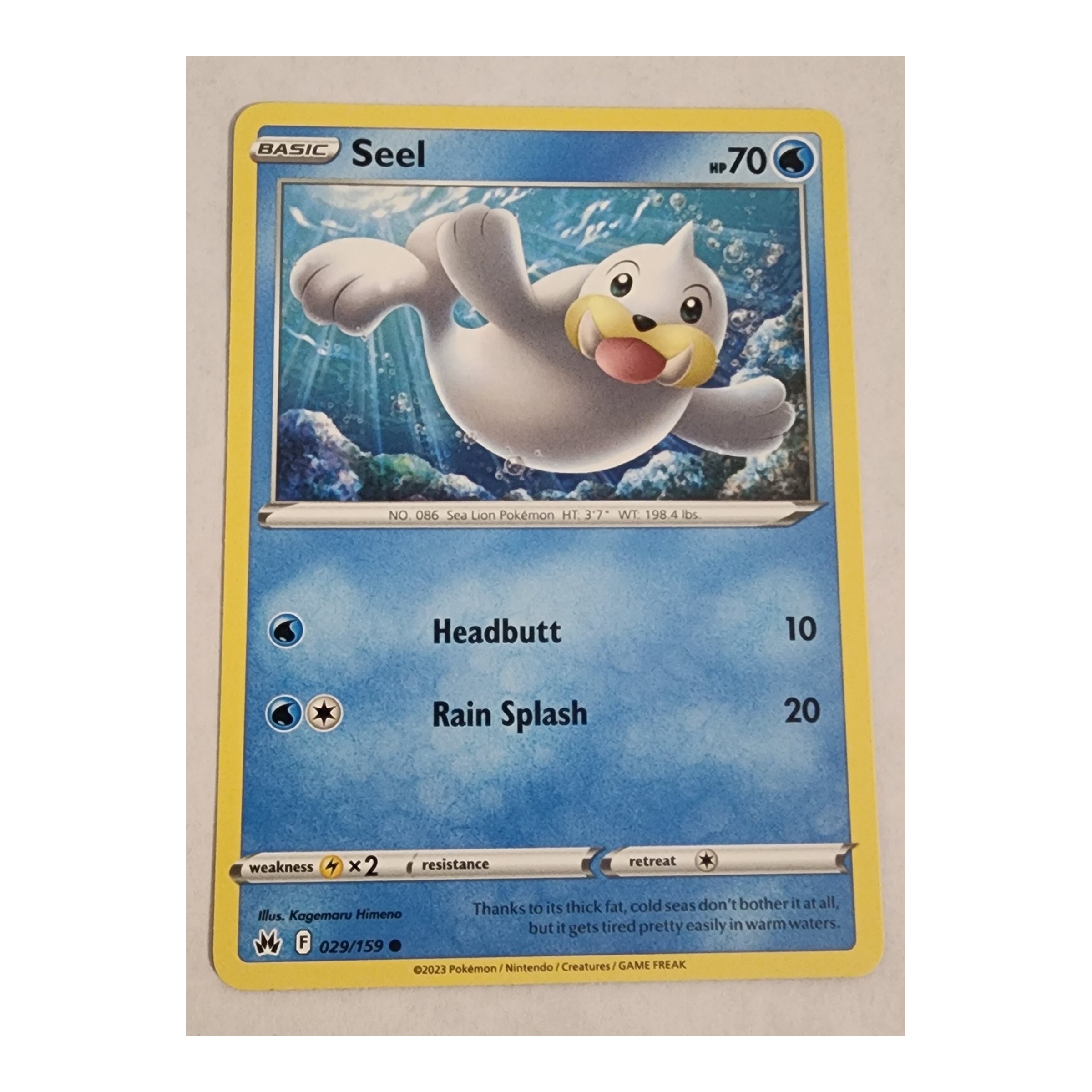 Seel Common SWSH12.5: Crown Zenith 029/159 NM