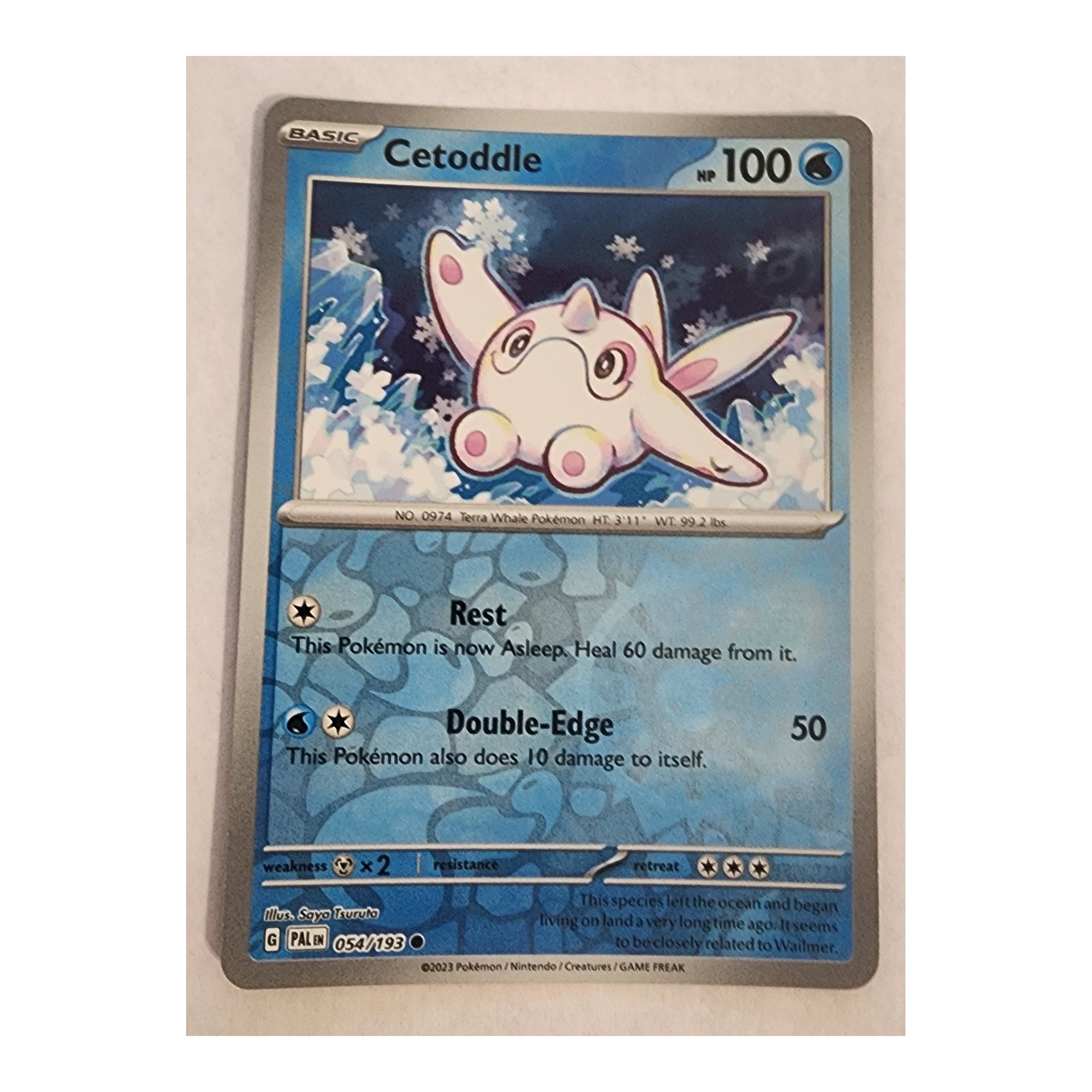 Cetoddle Common SV02: Paldea Evolved 054/193 NM Reverse Holo
