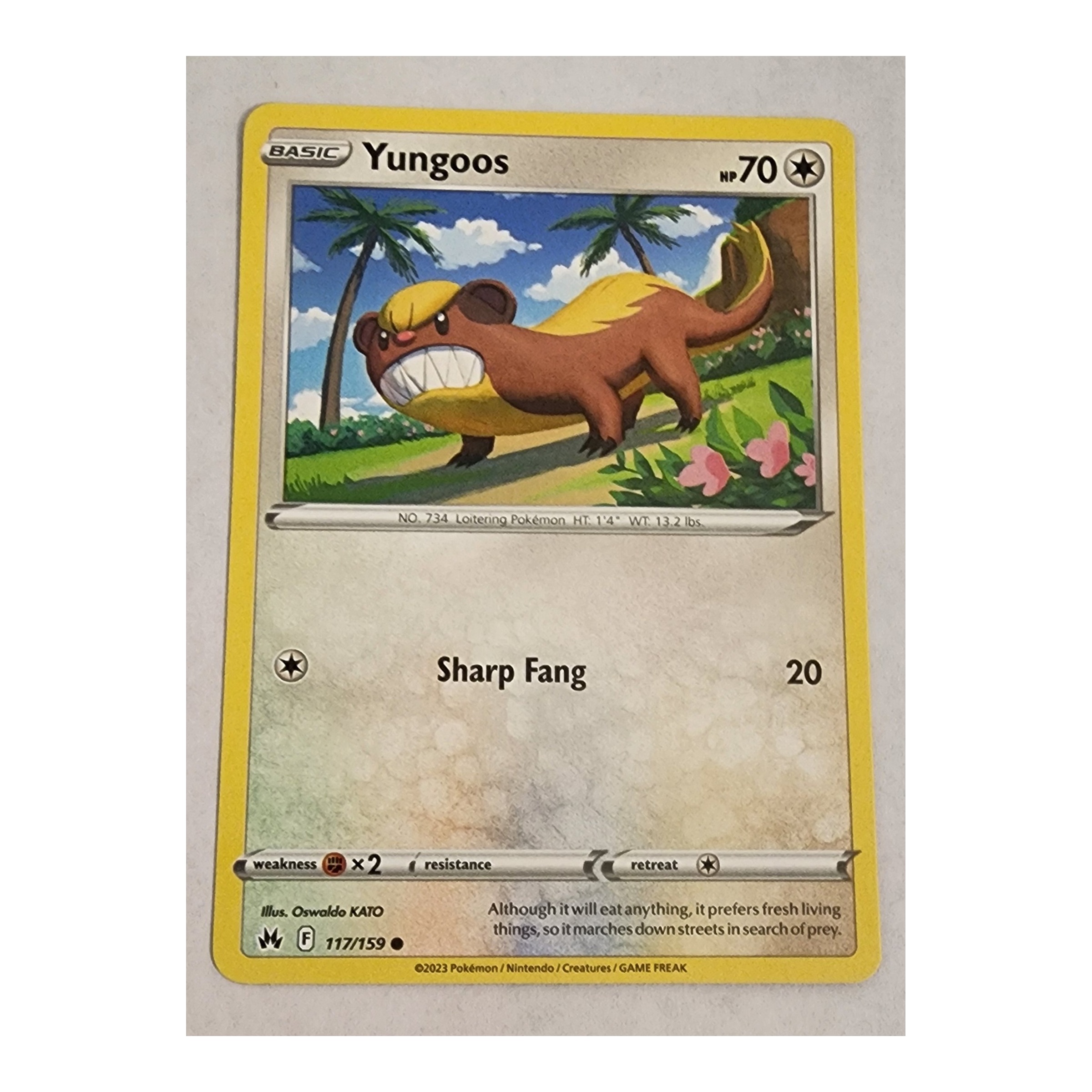 Yungoos Common SWSH12.5: Crown Zenith 117/159 NM