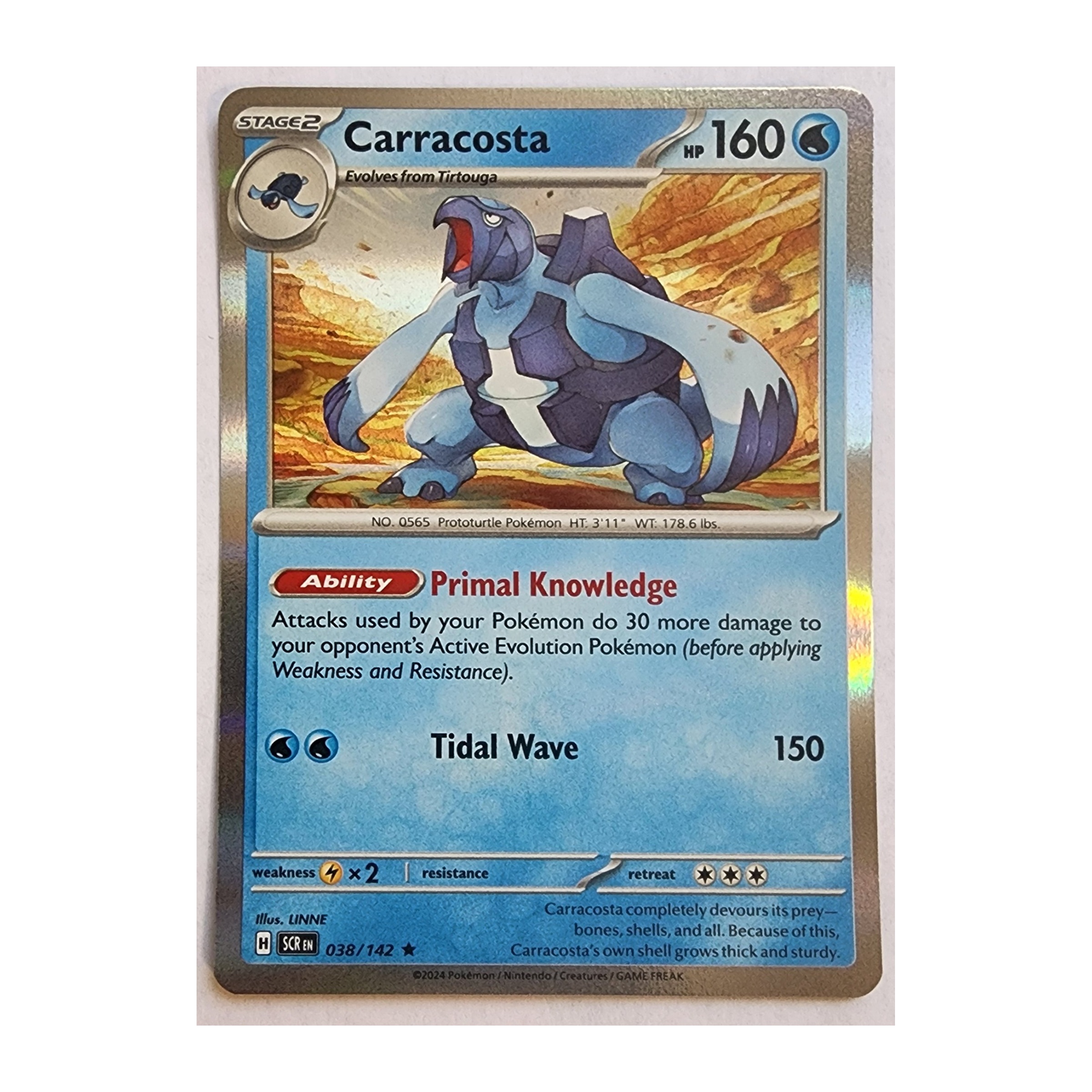 Carracosta Rare SV07: Stellar Crown 038/142 NM Holo