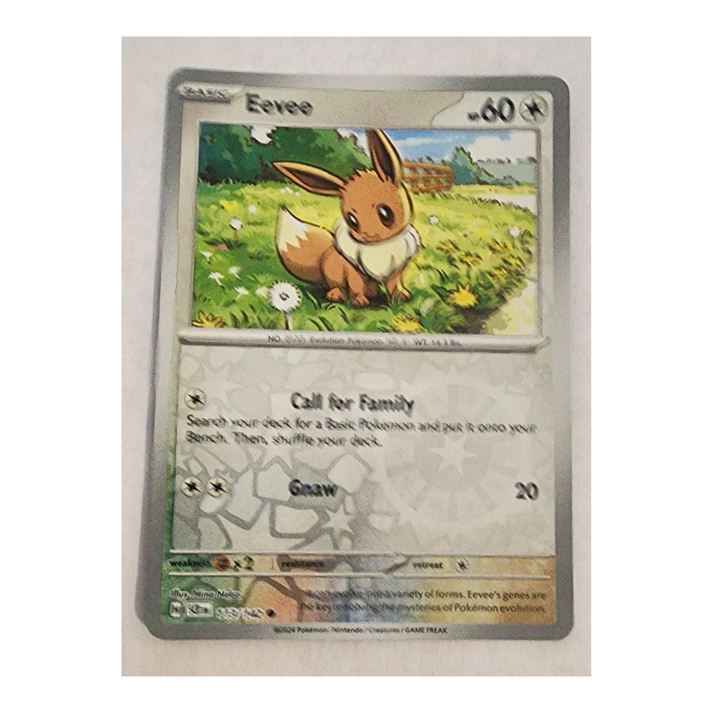 Eevee Common SV07: Stellar Crown 113/142 NM Reverse Holo