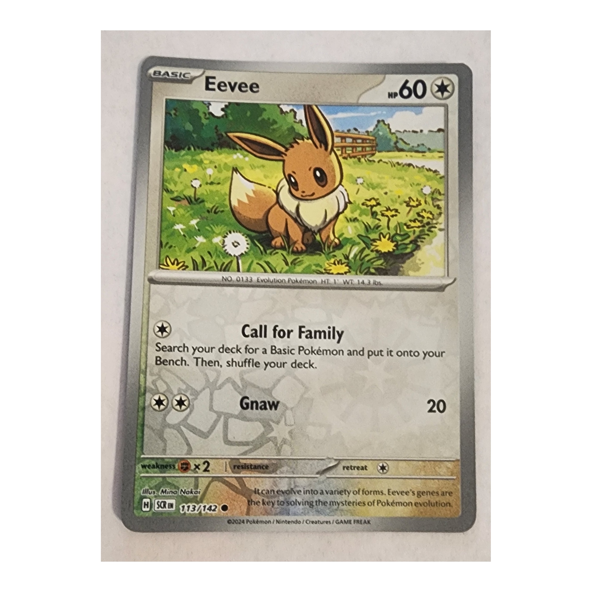 Eevee Common SV07: Stellar Crown 113/142 NM Reverse Holo