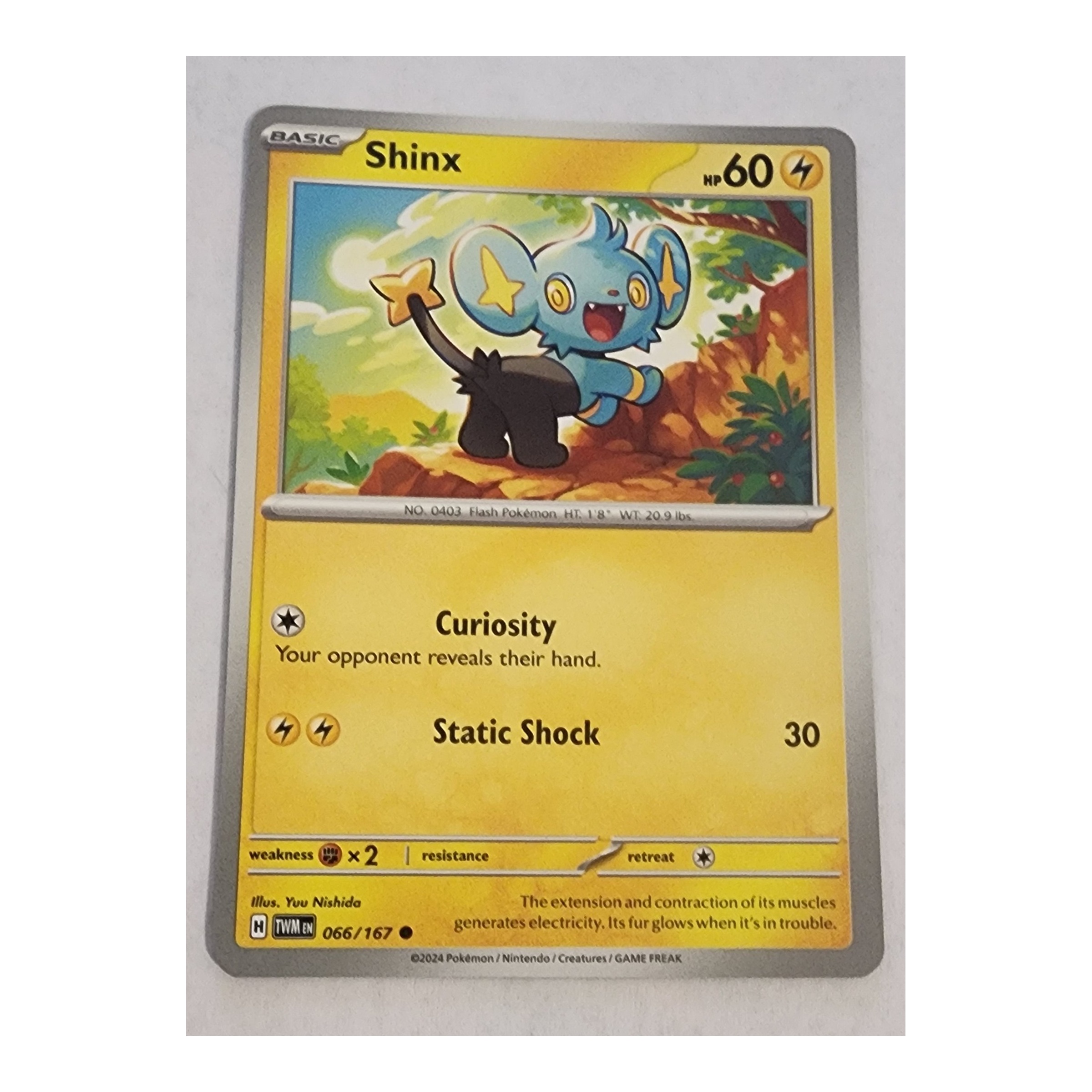 Shinx Common SV06: Twilight Masquerade 066/167 NM