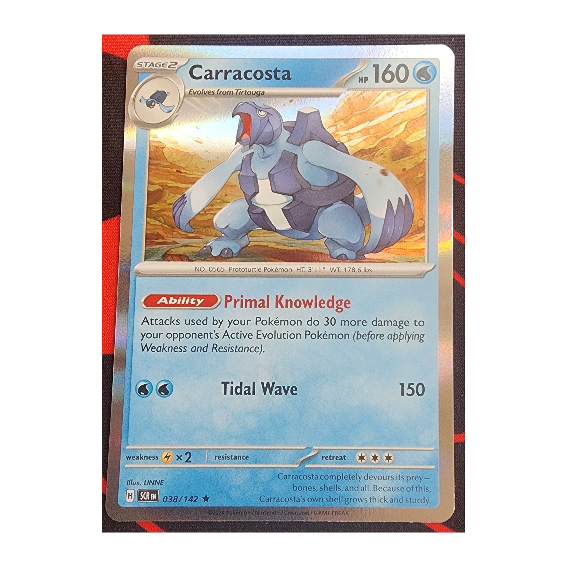 Carracosta Rare SV07: Stellar Crown 038/142 NM Holo