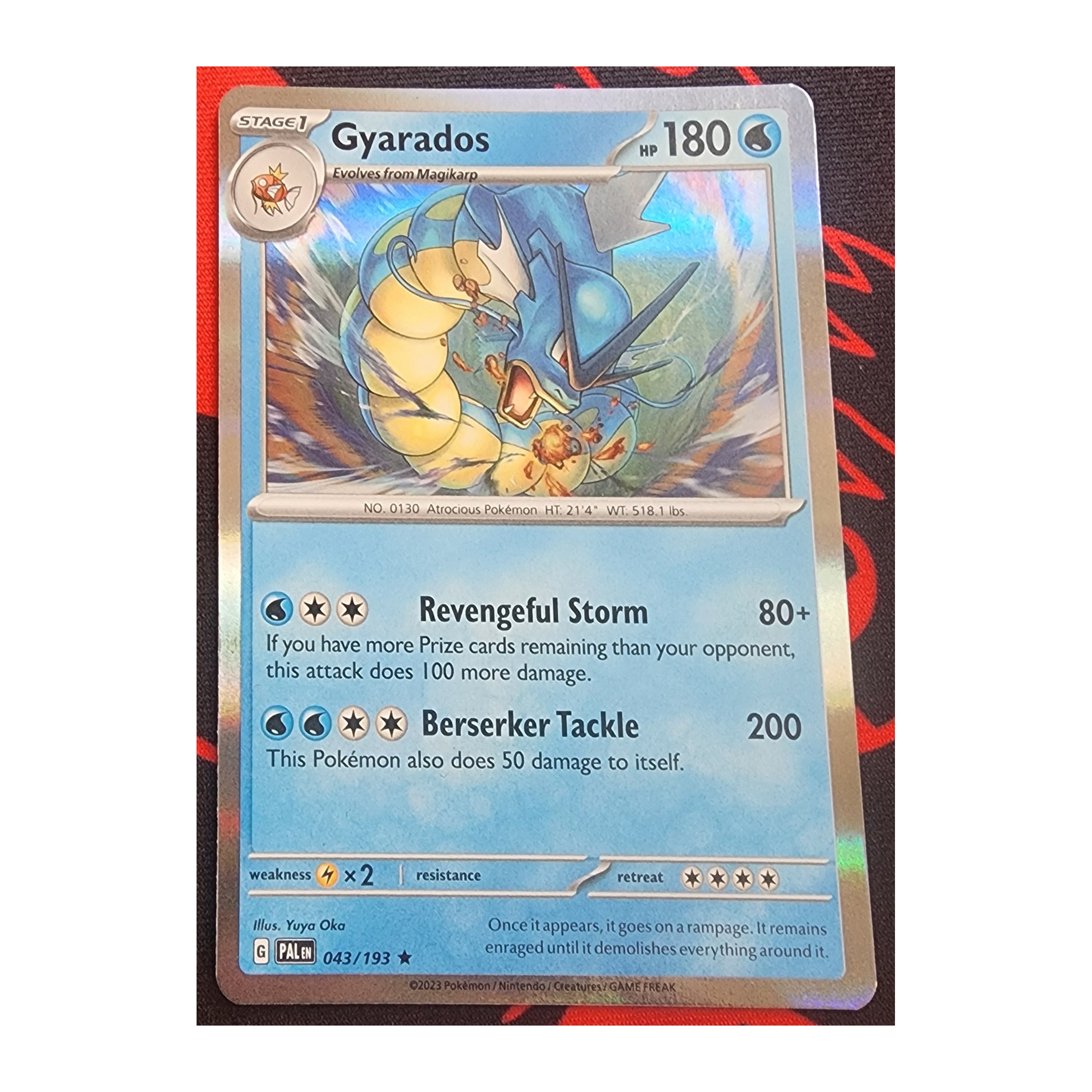Gyarados Rare SV02: Paldea Evolved 043/193 NM Holo