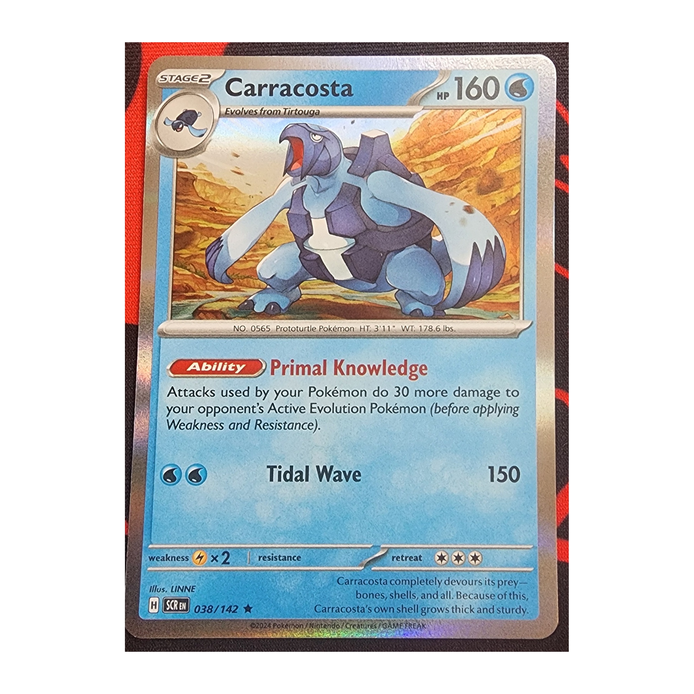 Carracosta Rare SV07: Stellar Crown 038/142 NM Holo