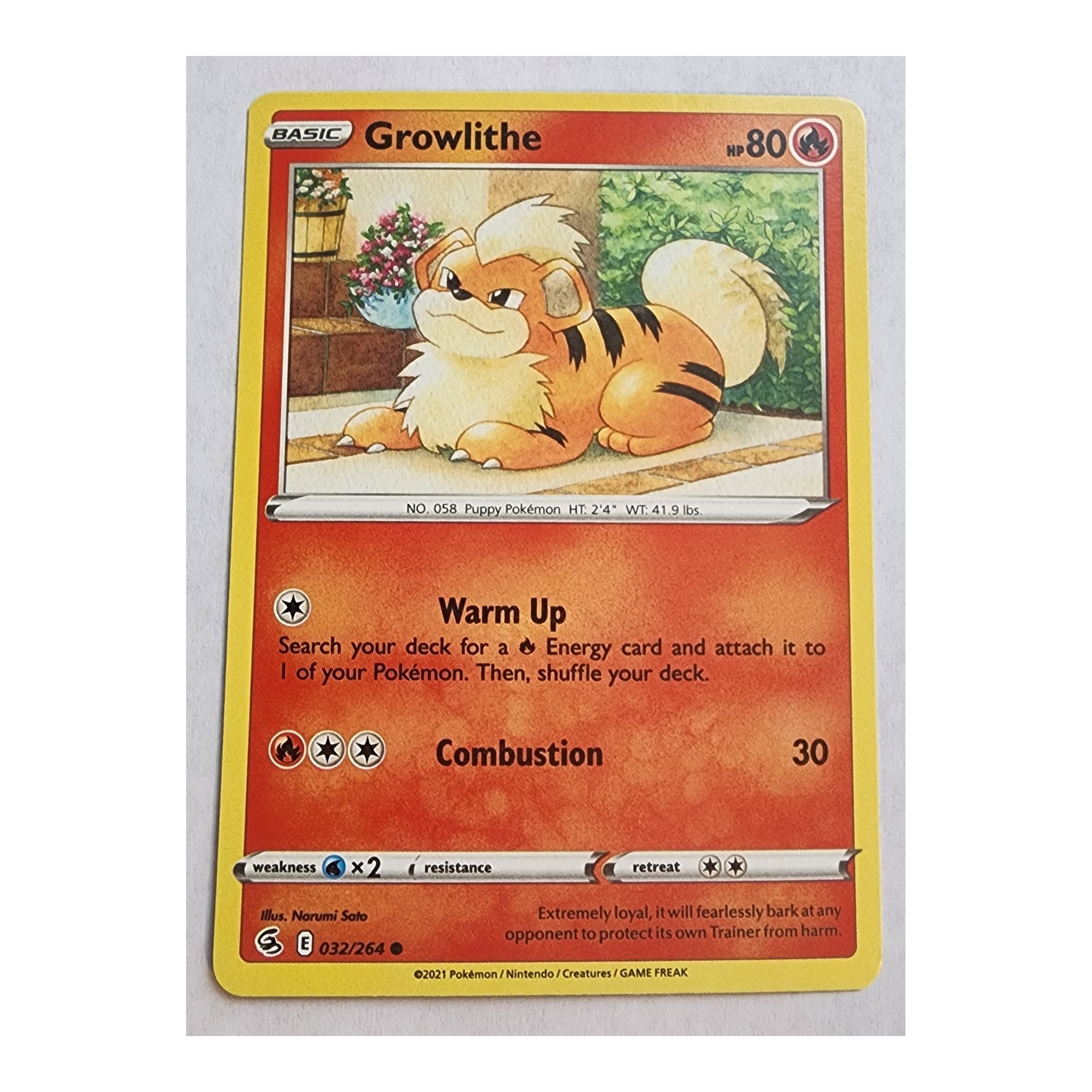 Growlithe Common SWSH8: Fusion Strike 32/264 NM