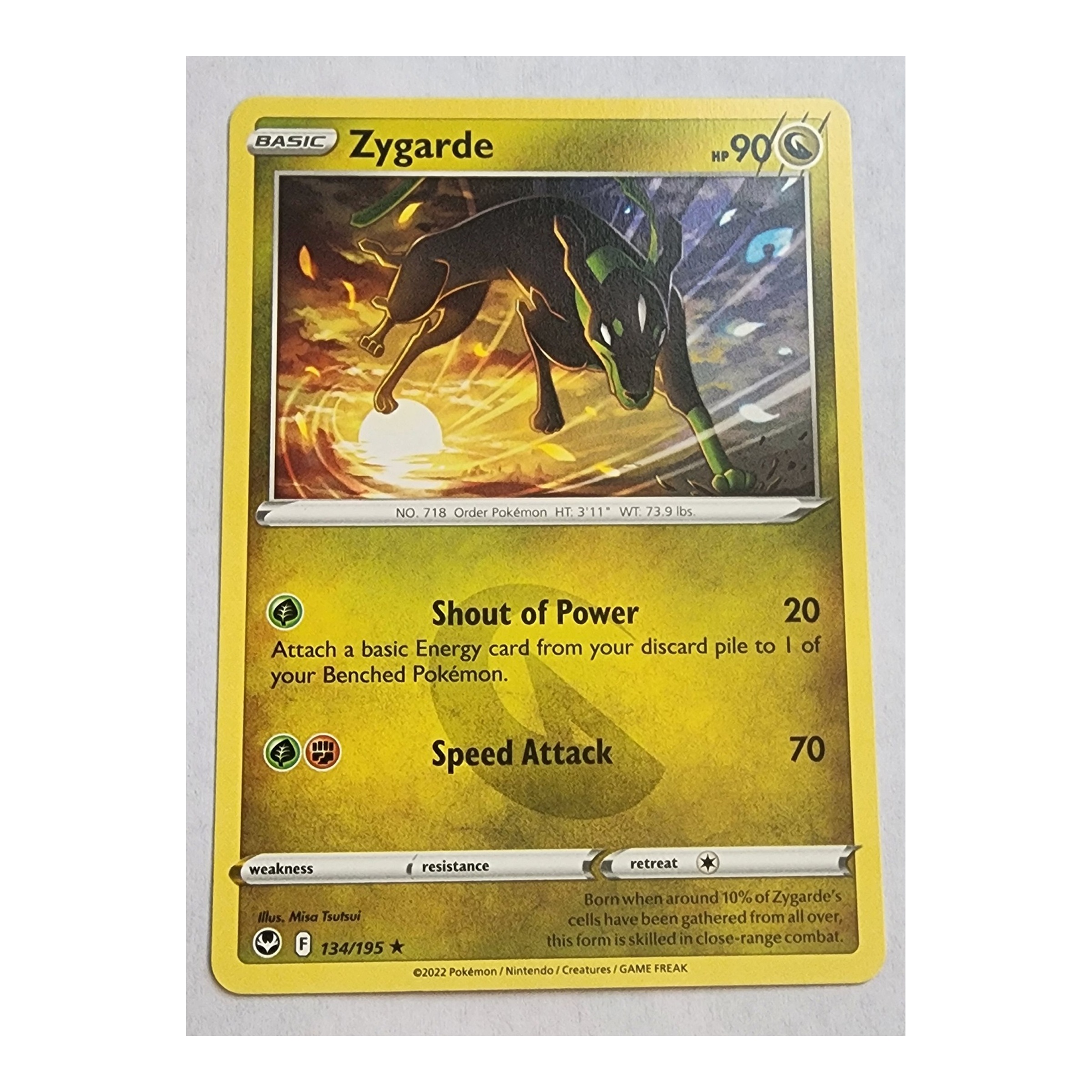 Zygarde Rare SWSH12: Silver Tempest 134/195 NM