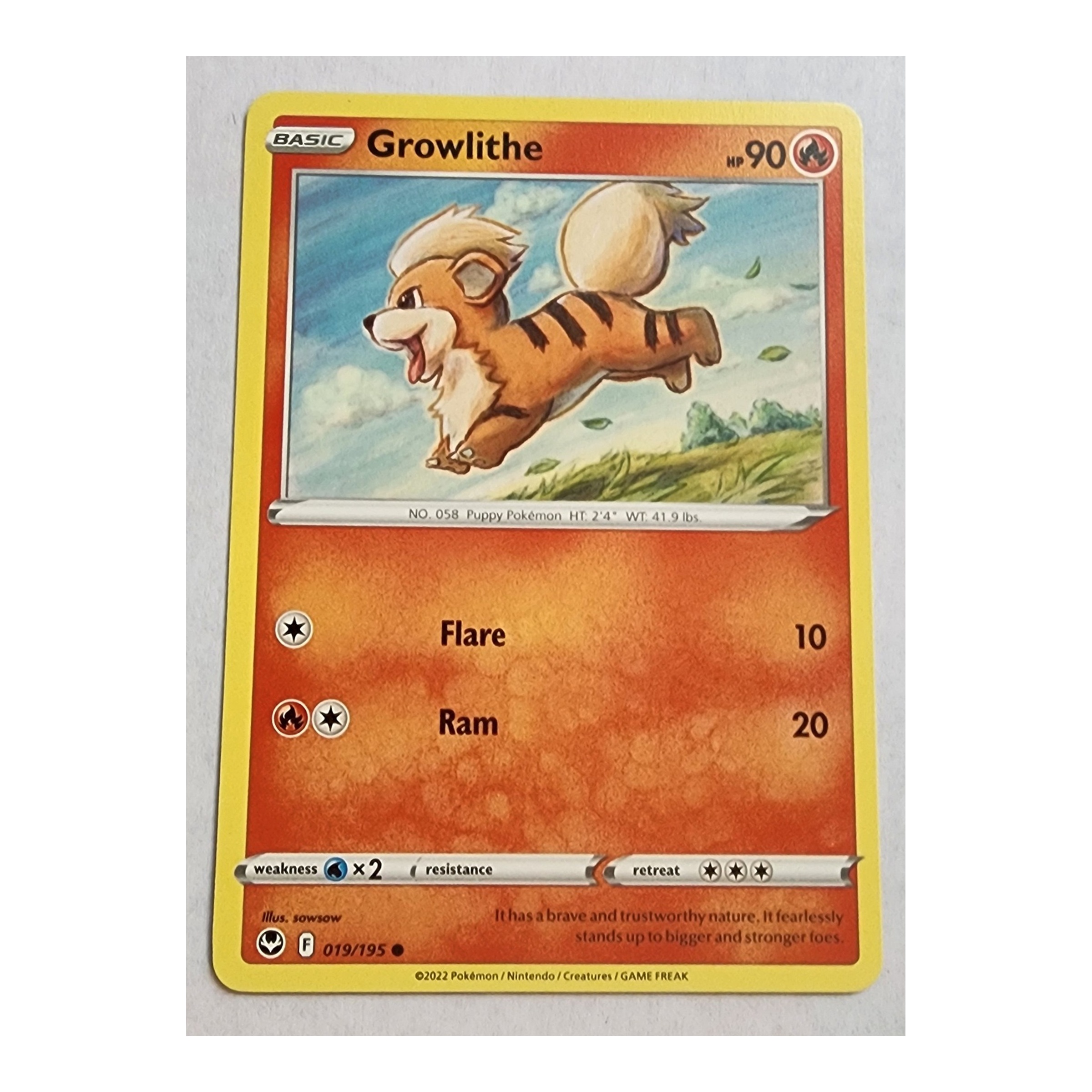 Growlithe Common SWSH12: Silver Tempest 019/195 NM