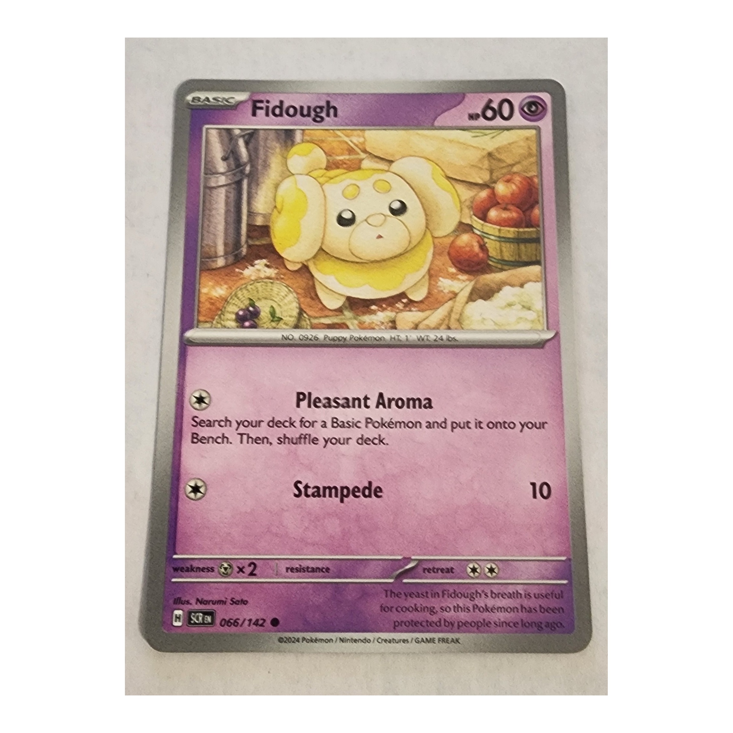 Fidough Common SV07: Stellar Crown 066/142 NM