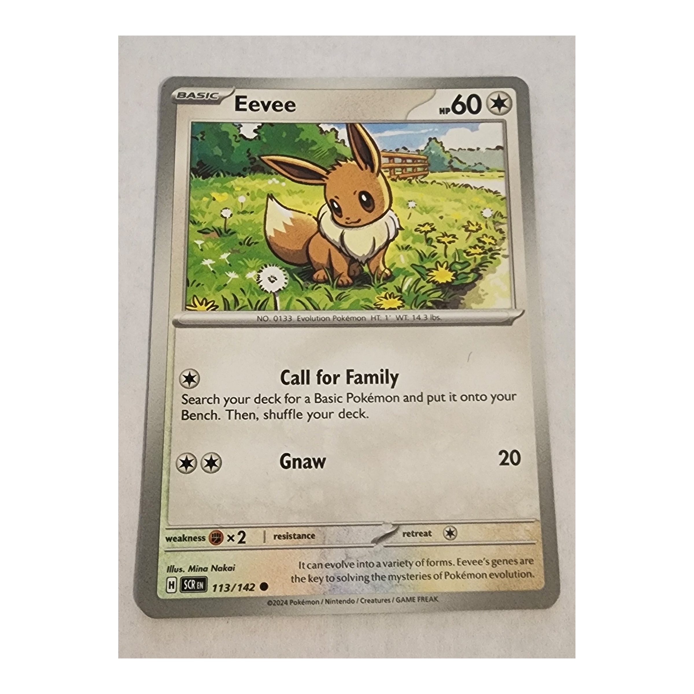 Eevee Common SV07: Stellar Crown 113/142 NM