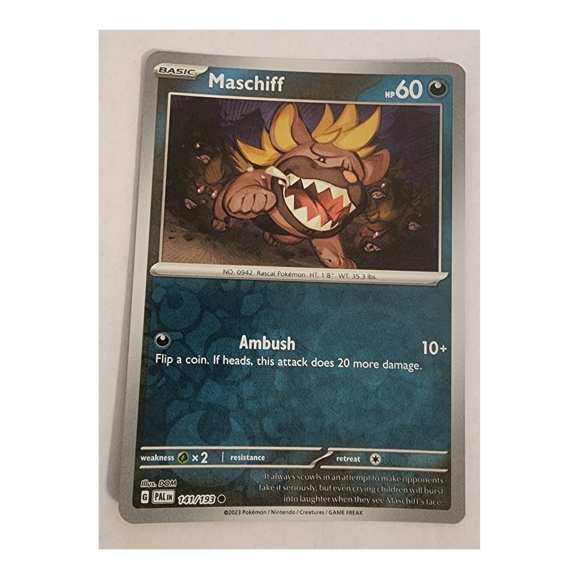 Maschiff Common SV02: Paldea Evolved 141/193 NM Reverse Holo