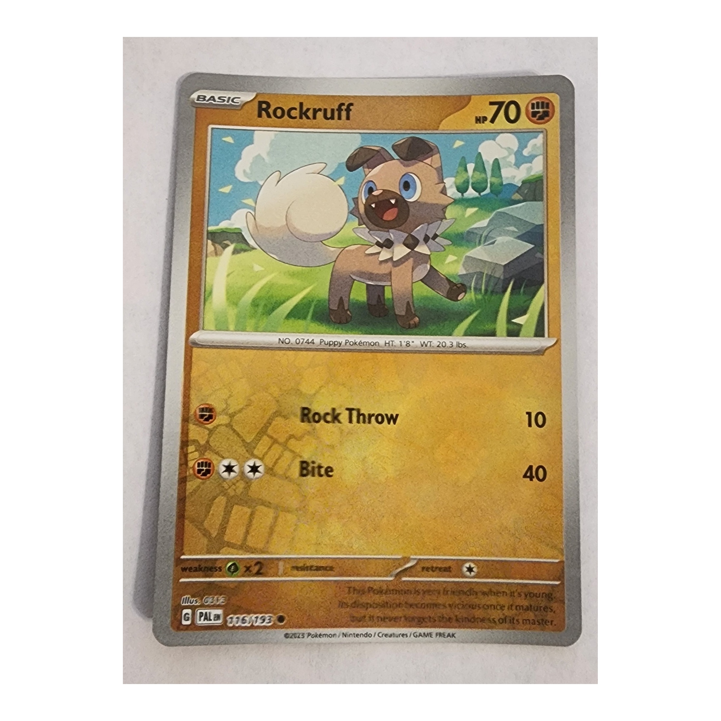 Rockruff Common SV02: Paldea Evolved 116/193 NM Reverse Holo