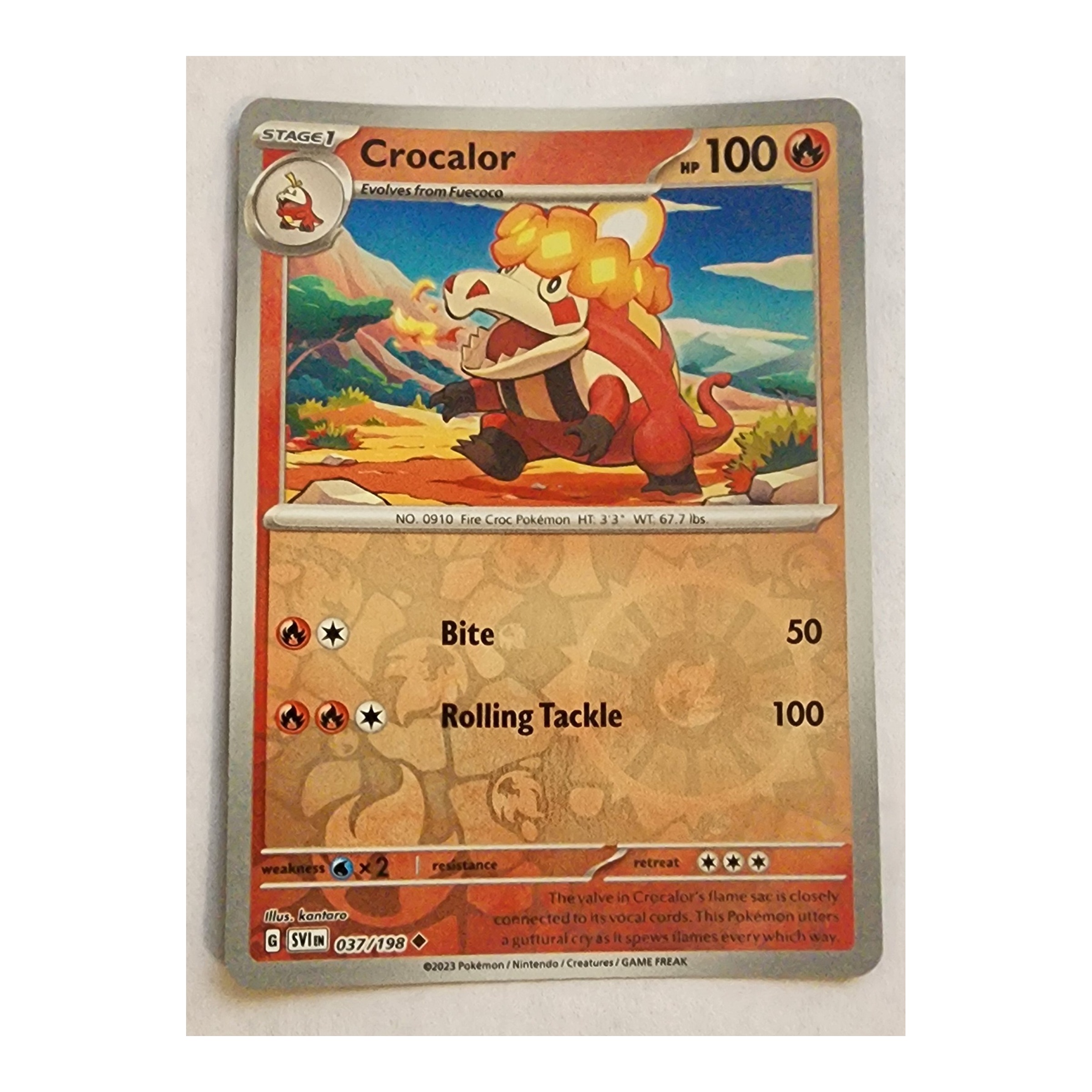 Crocalor Uncommon SV01: Scarlet & Violet 037/198 NM Reverse Holo