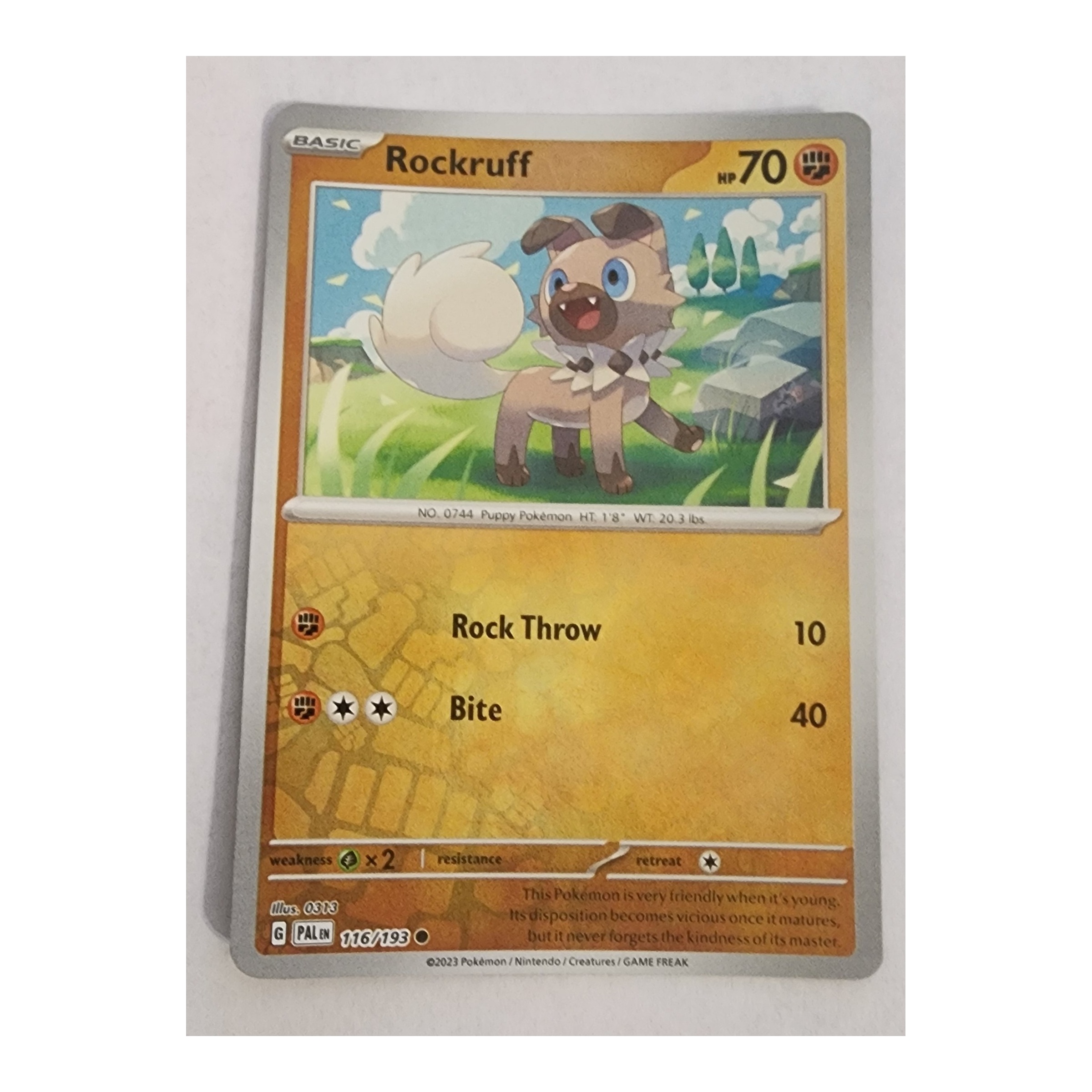 Rockruff Common SV02: Paldea Evolved 116/193 NM Reverse Holo