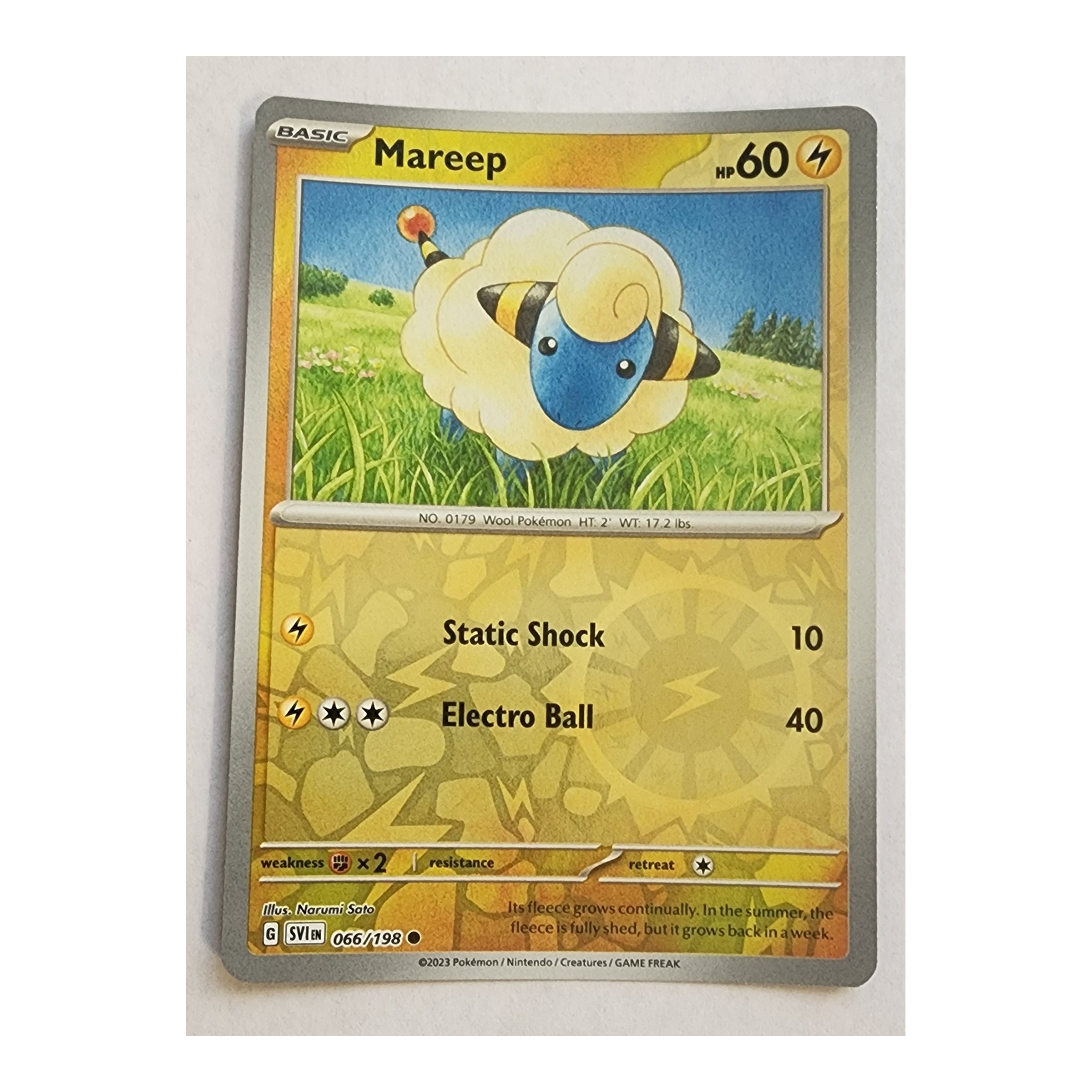 Mareep Common SV01: Scarlet & Violet 066/198 NM Reverse Holo