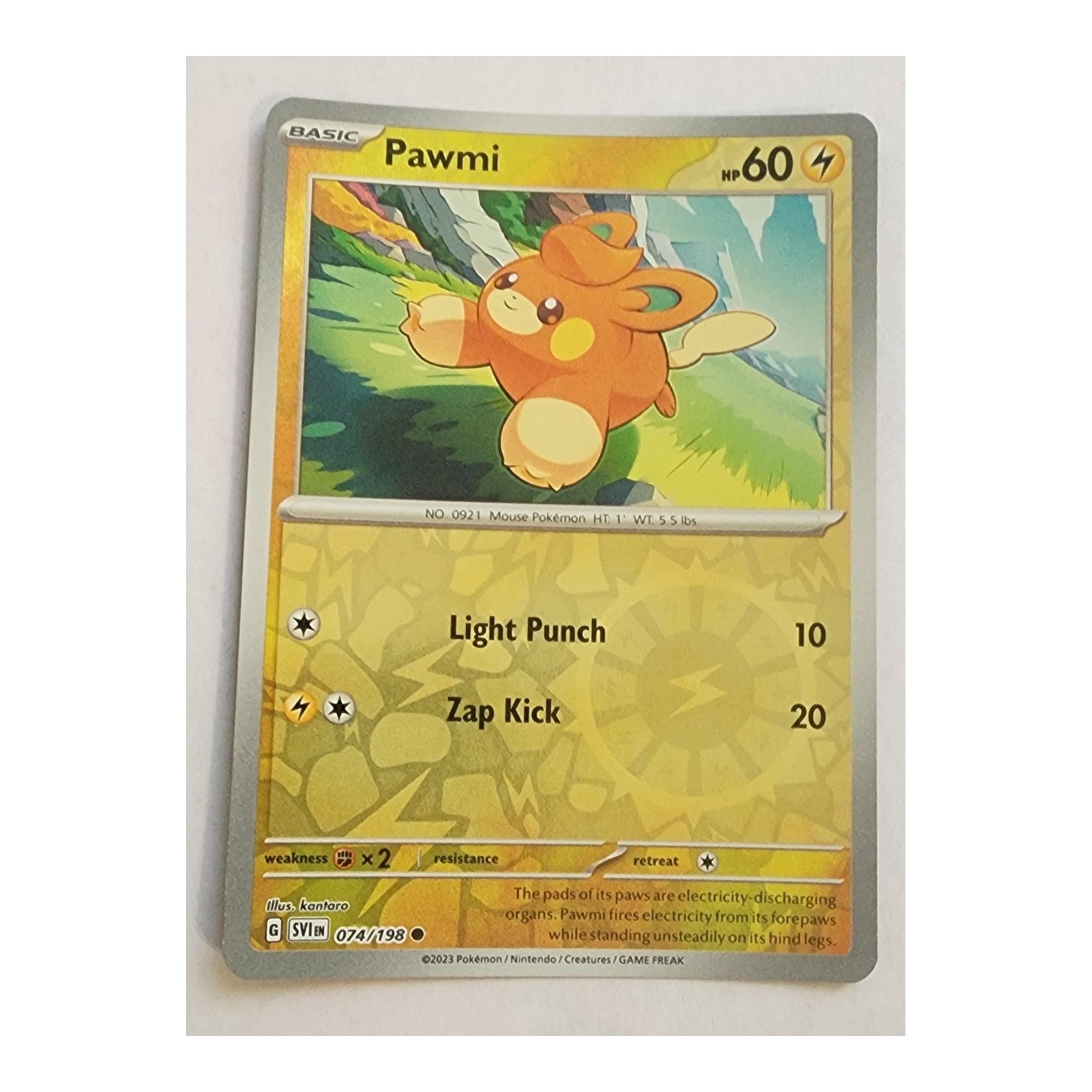 Pawmi Common SV01: Scarlet & Violet 074/198 NM Reverse Holo