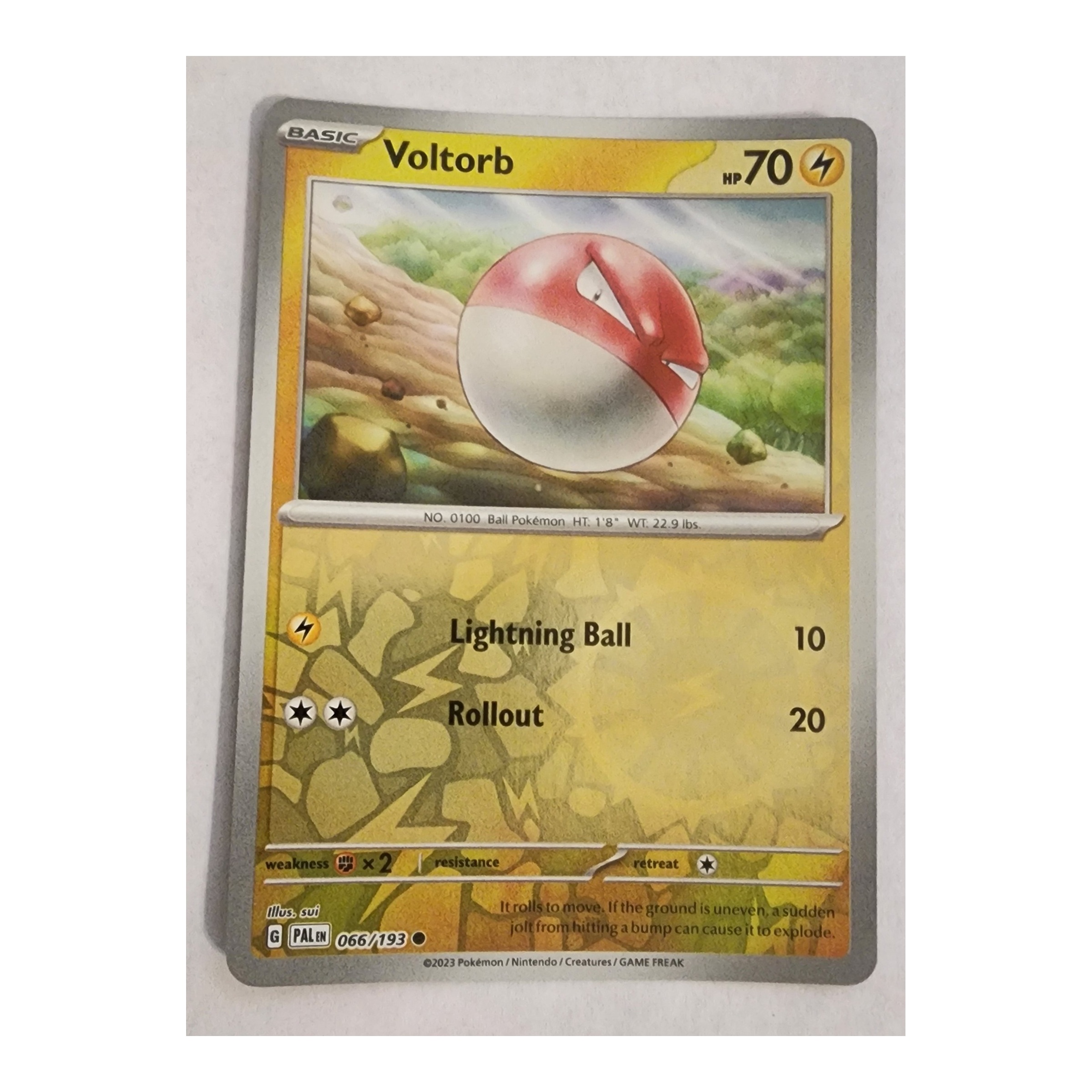 Voltorb Common SV02: Paldea Evolved 066/193 NM Reverse Holo