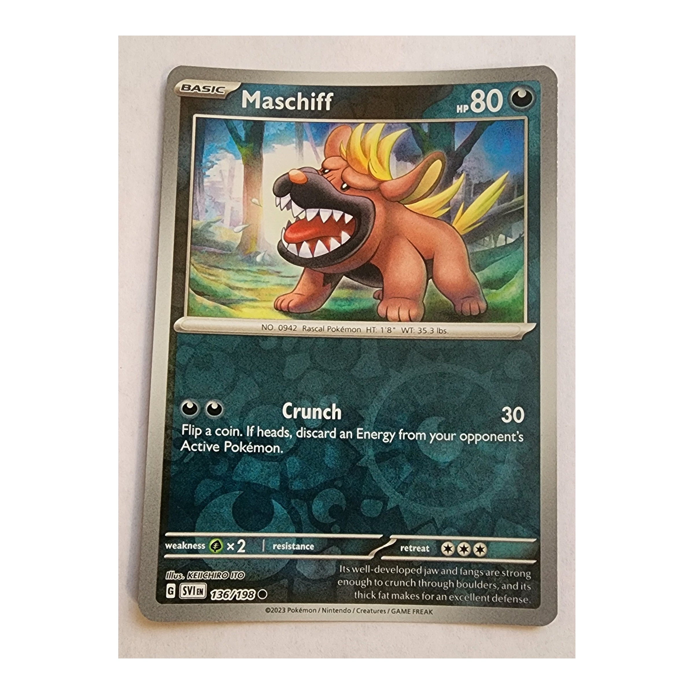 Maschiff Common SV04.5: Paldean Fates 062/091 NM Reverse Holo